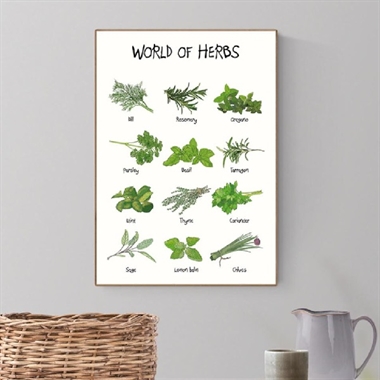 Mouse and Pen - World of herbs