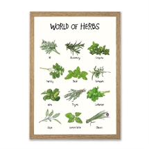 Mouse and Pen - World of herbs