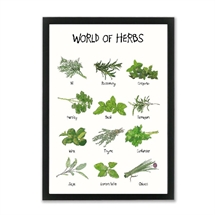 Mouse and Pen - World of herbs