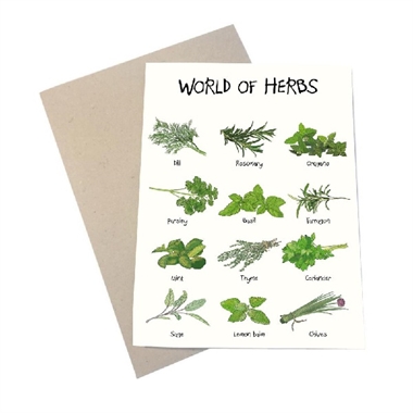 Mouse and Pen - World of herbs