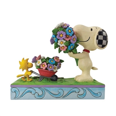 Peanuts - Fresh Picked Blooms in Wheelbarrow